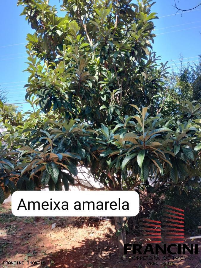 Chácara à venda com 2 quartos, 300m² - Foto 18