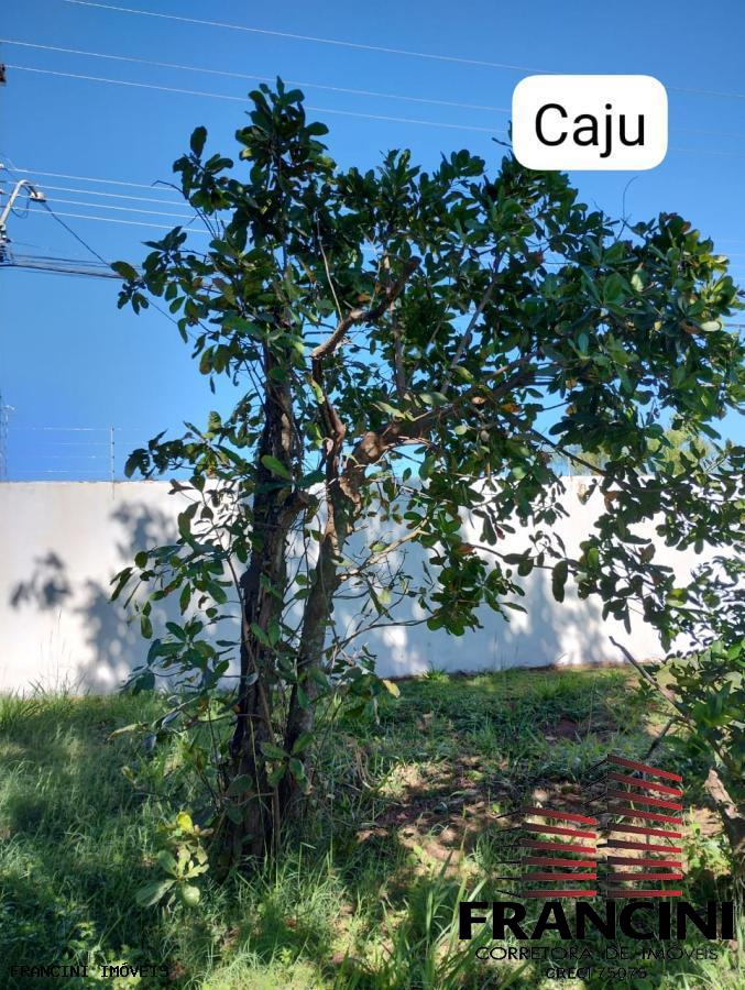 Chácara à venda com 2 quartos, 300m² - Foto 10