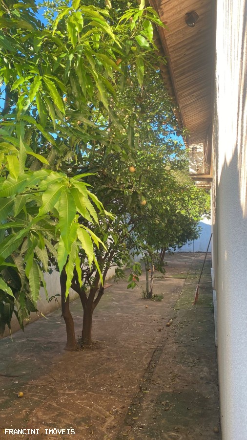 Chácara, 3 quartos, 770 m² - Foto 16